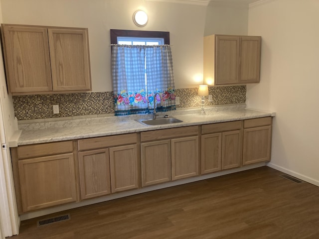 kitchen with sink, dark wood-type flooring, light brown cabinetry, and decorative backsplash