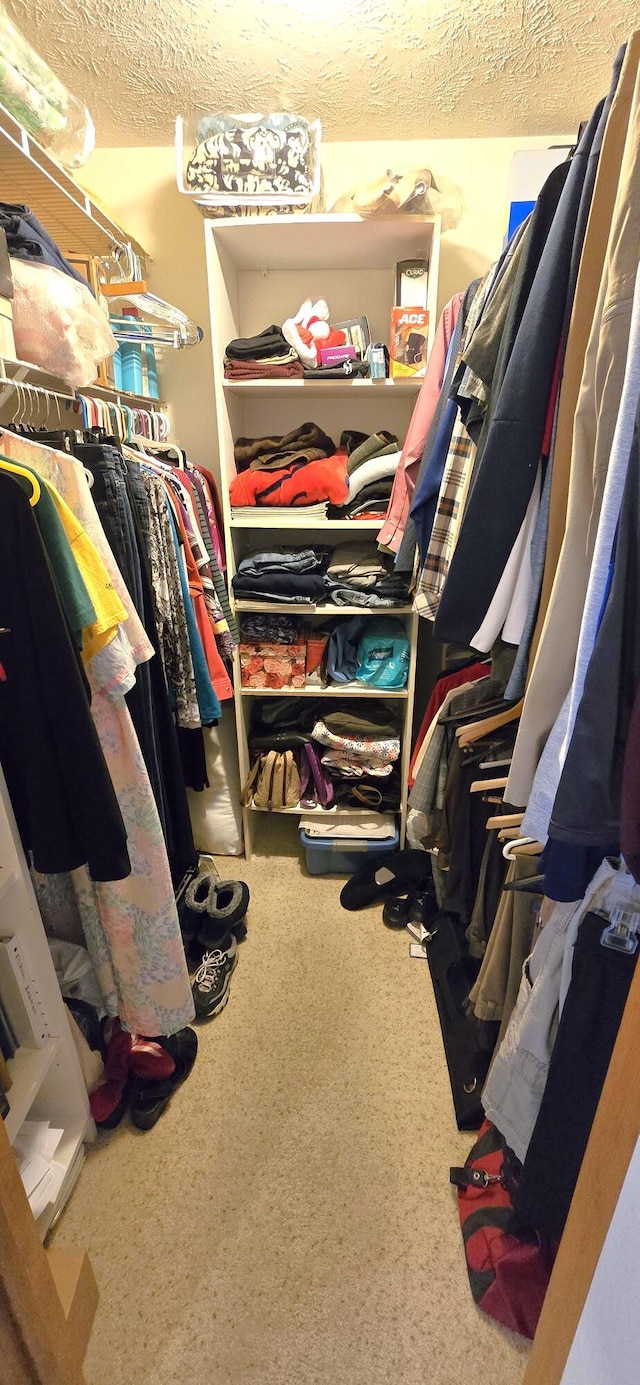 spacious closet with carpet