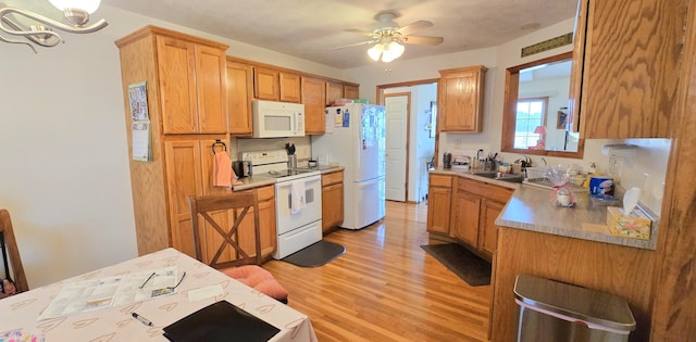 kitchen with sink, hanging light fixtures, light hardwood / wood-style floors, white appliances, and ceiling fan with notable chandelier