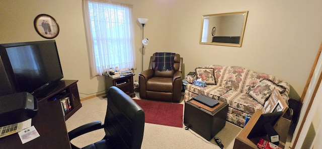 carpeted office space with plenty of natural light