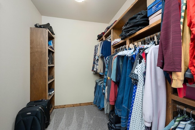 spacious closet featuring carpet