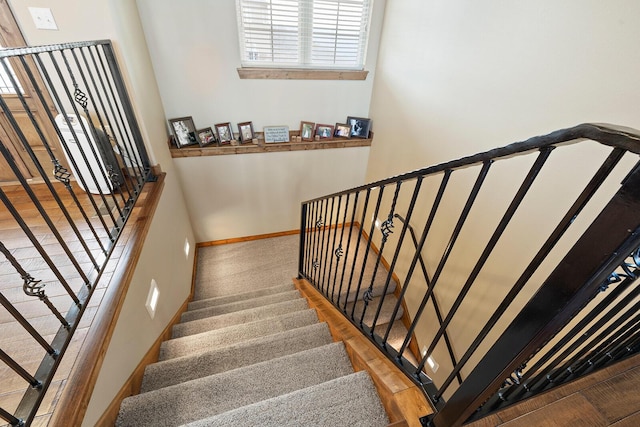 stairway with wood-type flooring