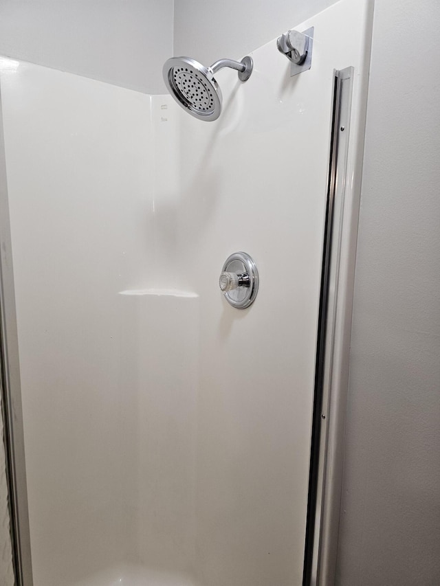 interior details with a shower