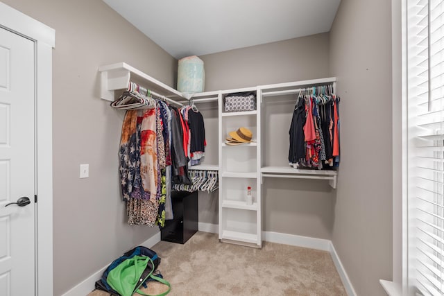 walk in closet featuring light carpet