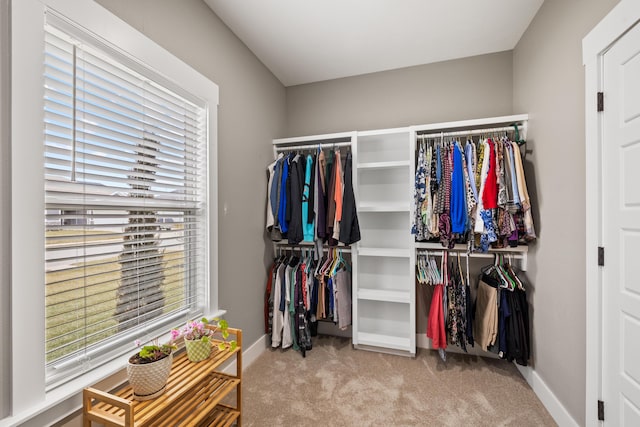 spacious closet featuring light carpet