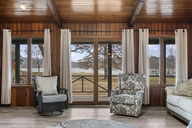 unfurnished room featuring wooden walls and plenty of natural light