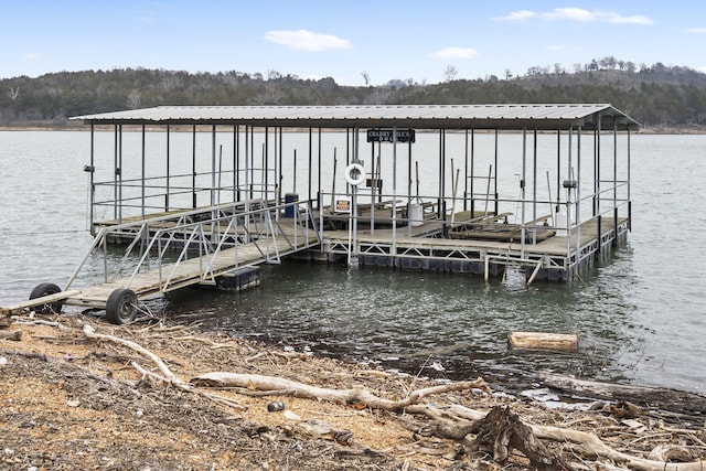 dock area with a water view