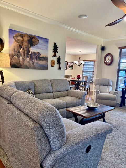 carpeted living room with ceiling fan with notable chandelier and ornamental molding