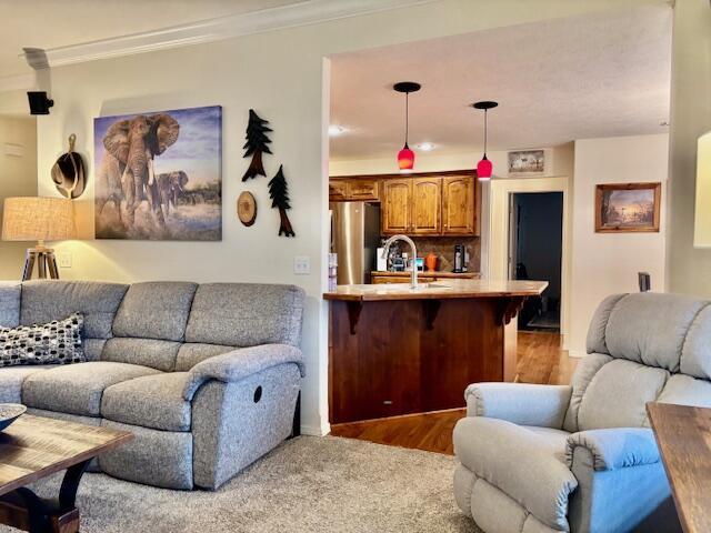 living room with ornamental molding, sink, and hardwood / wood-style floors