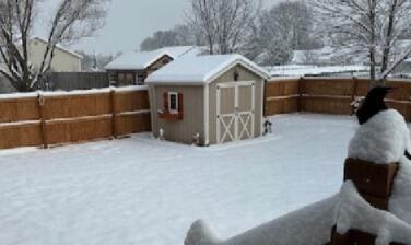 snowy yard with a shed