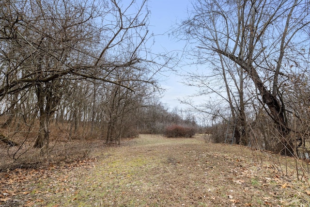 view of landscape