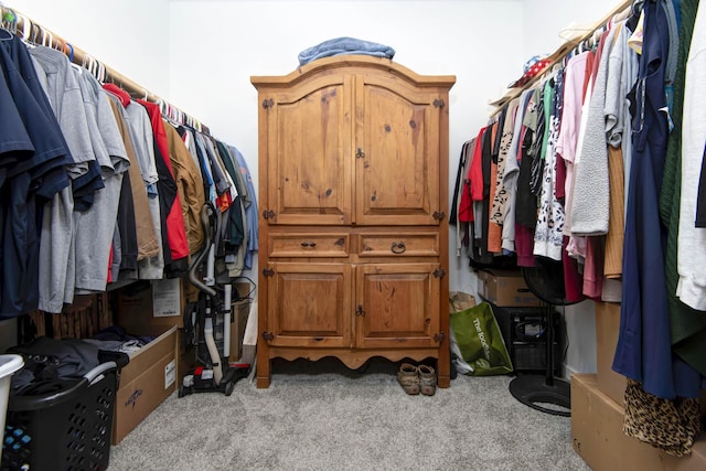 spacious closet featuring light carpet