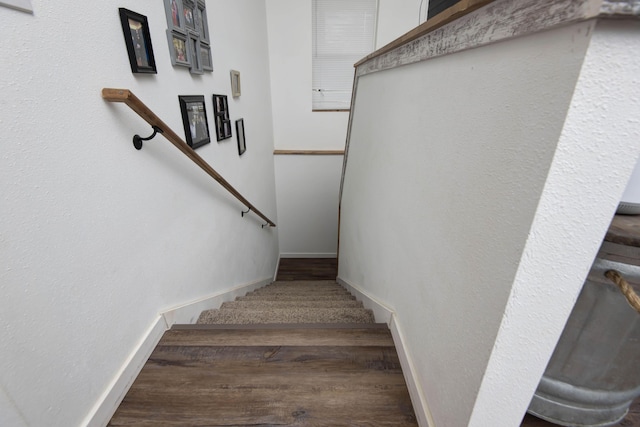 stairway with hardwood / wood-style floors