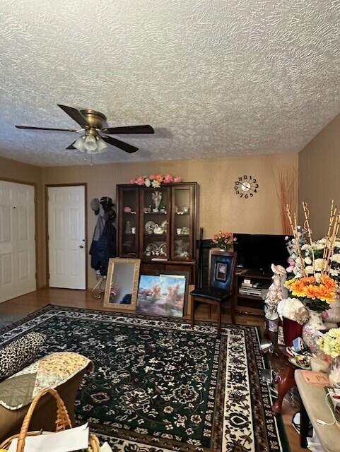 living room with a textured ceiling and ceiling fan