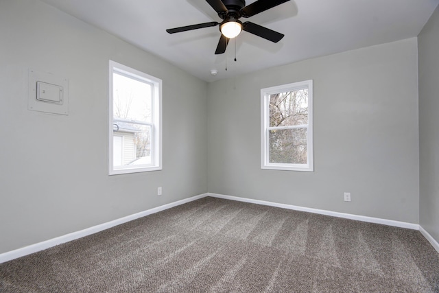 spare room with ceiling fan and carpet flooring