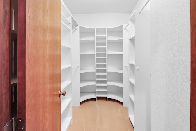 spacious closet featuring carpet floors