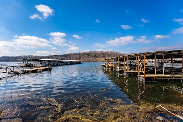 dock area featuring a water view