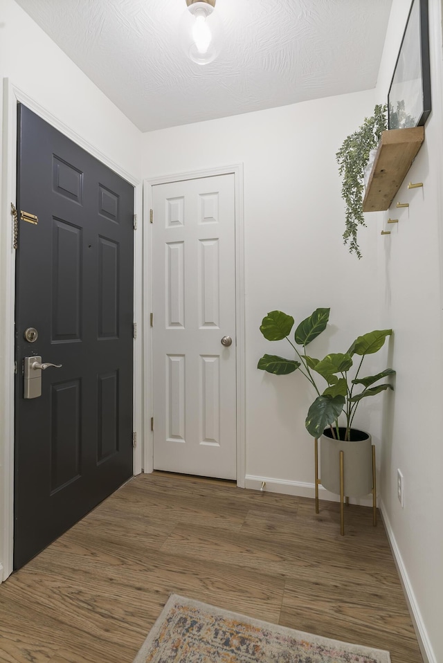 foyer entrance with dark wood-type flooring