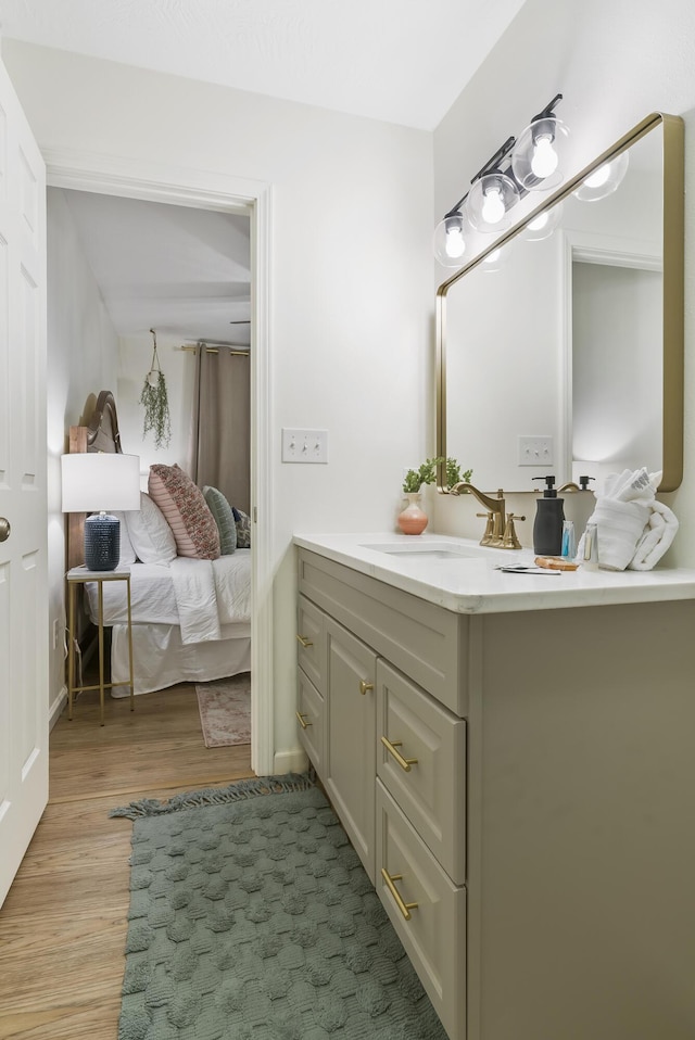 bathroom with vanity and wood-type flooring