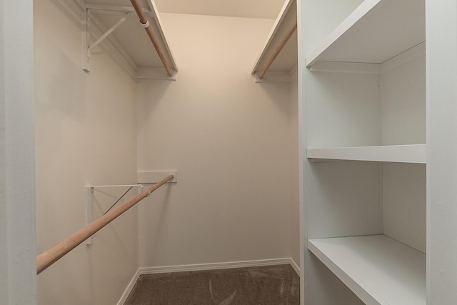 walk in closet with carpet floors