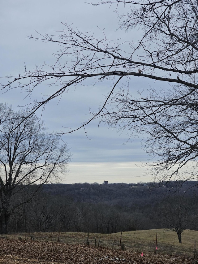 view of mountain feature