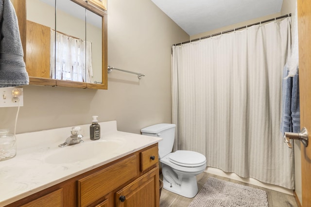 bathroom featuring walk in shower, vanity, toilet, and wood-type flooring