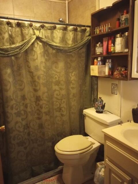 bathroom featuring vanity, toilet, and a shower with shower curtain