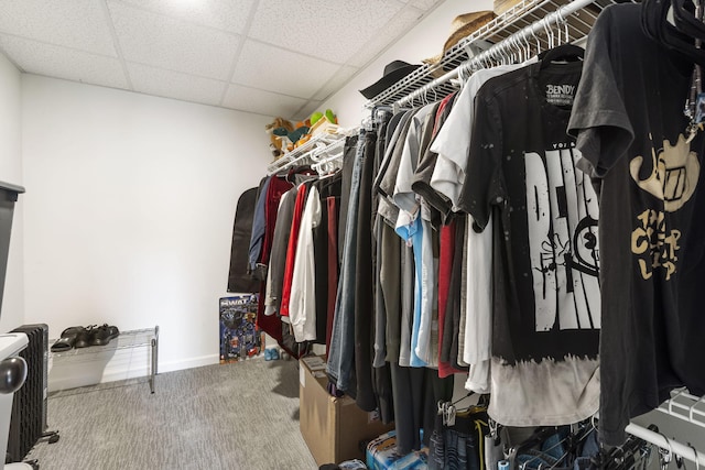 walk in closet with a paneled ceiling and carpet flooring