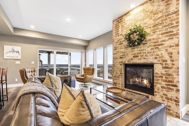 living room featuring hardwood / wood-style flooring and a fireplace