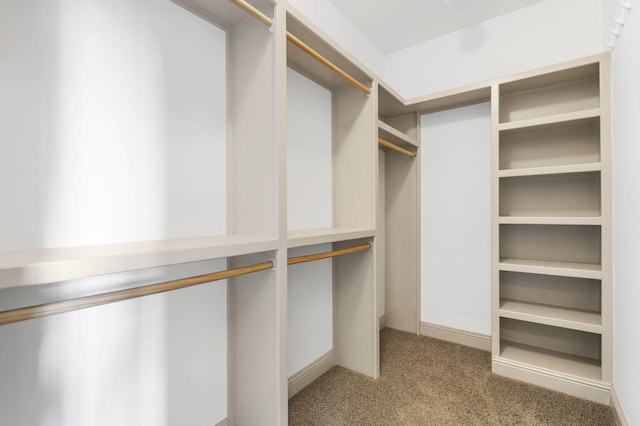 spacious closet with light carpet