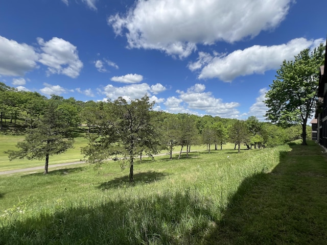 1241 Golf Dr Unit 1, Branson West, MO 65737 - view of yard