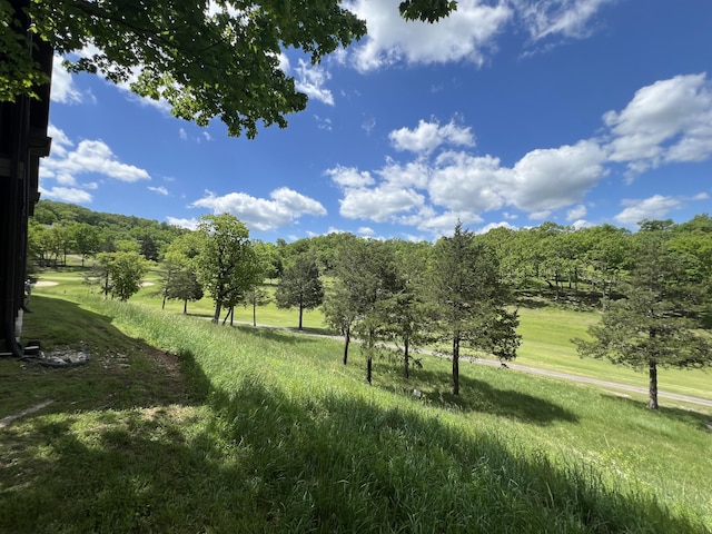 1241 Golf Dr Unit 1, Branson West, MO 65737 - view of local wilderness