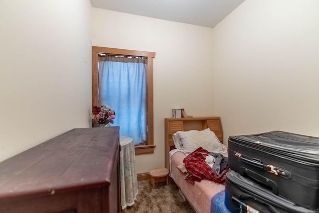 bedroom with carpet floors