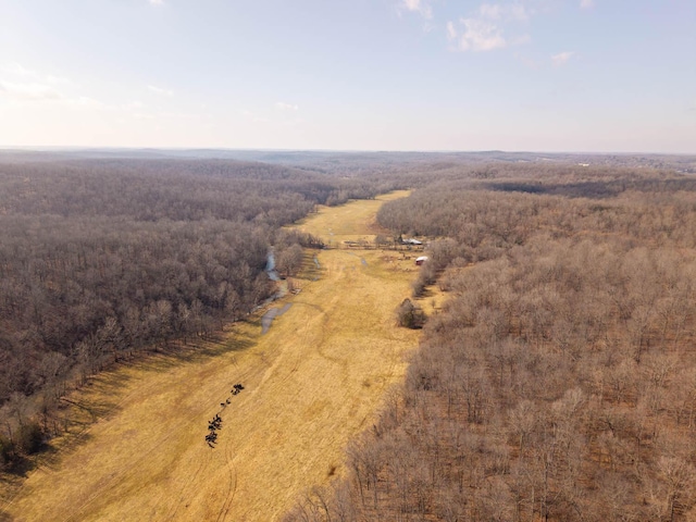 aerial view with a rural view