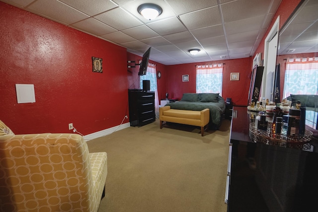 carpeted living room with a wealth of natural light and a drop ceiling