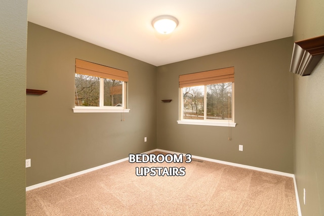 spare room with carpet flooring and a wealth of natural light