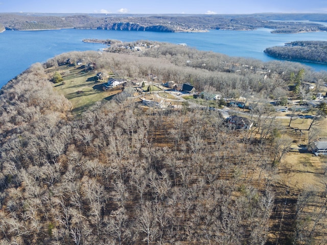 000 Silverbridge Ln, Kimberling City, MO 65686 - photo 35