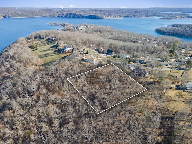 000 Silverbridge Ln, Kimberling City, MO 65686 - photo 36