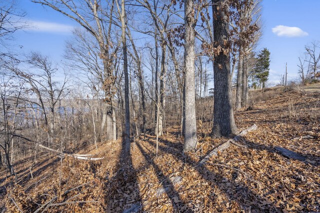 000 Silverbridge Ln, Kimberling City, MO 65686 - photo 39