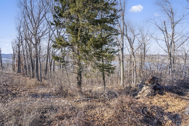 000 Silverbridge Ln, Kimberling City, MO 65686 - photo 44