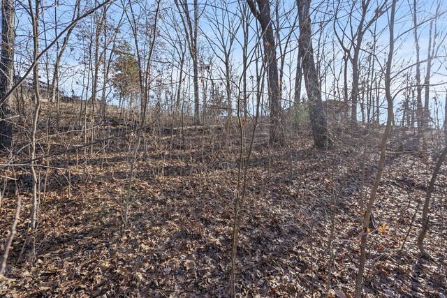 000 Silverbridge Ln, Kimberling City, MO 65686 - photo 41