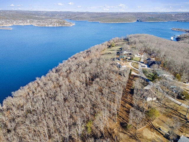 000 Silverbridge Ln, Kimberling City, MO 65686 - photo 45