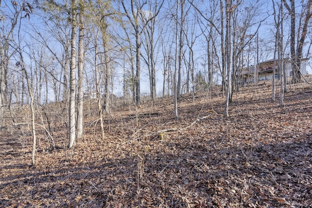 000 Silverbridge Ln, Kimberling City, MO 65686 - photo 40