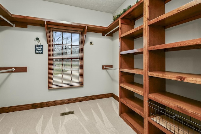 walk in closet with carpet flooring