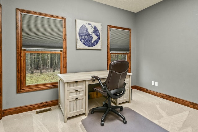 carpeted office space with a textured ceiling