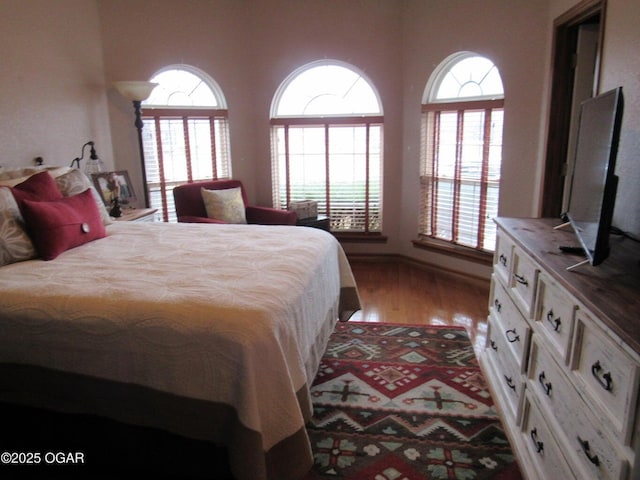 bedroom with hardwood / wood-style flooring