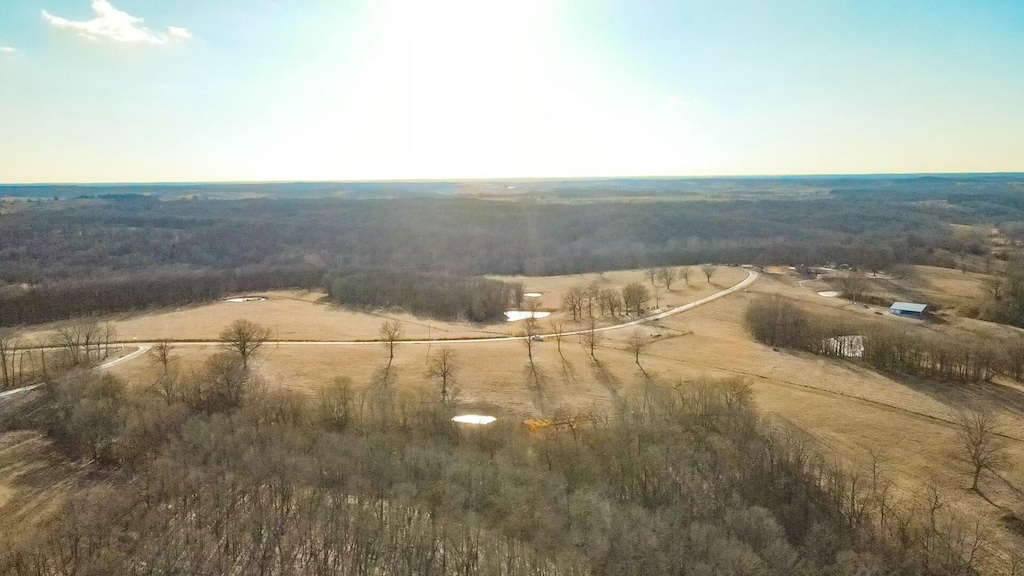 drone / aerial view featuring a rural view