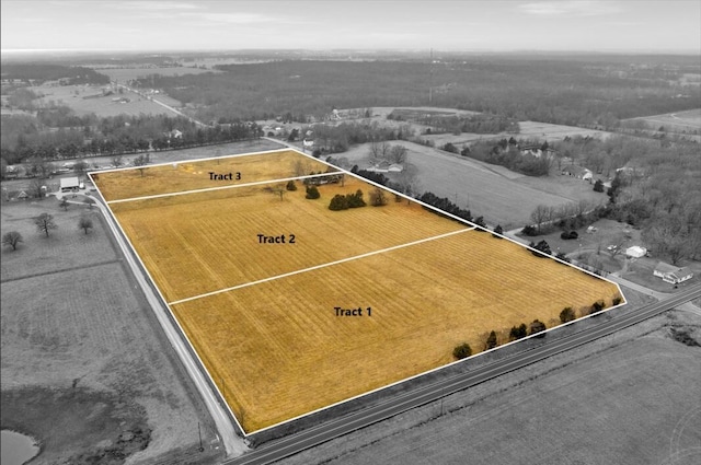 TRACT4 N State Highway 215, Strafford, MO 65757 - photo 1