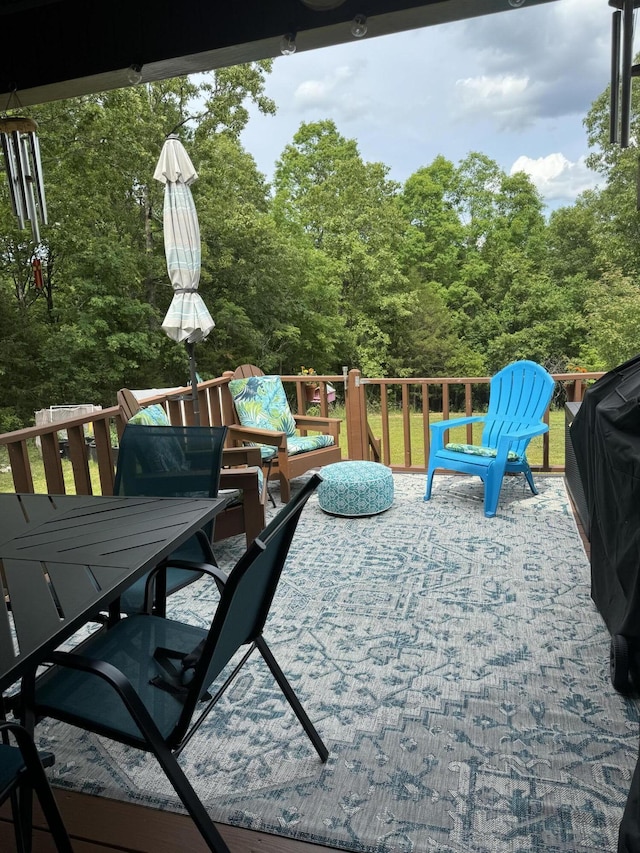 14586 County Road 9290, Koshkonong, MO 65692 - photo 5