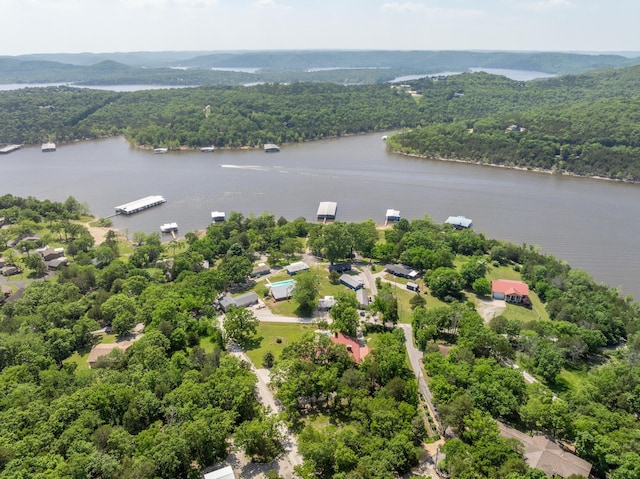 241 Nine Center Ct, Reeds Spring, MO 65737 - drone / aerial view of a large body of water and a forest